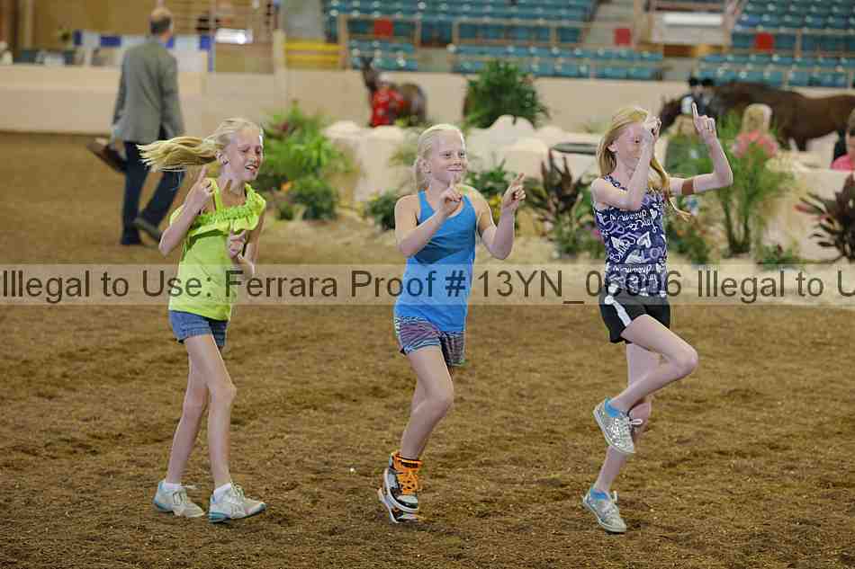 Proof 13yn_06006