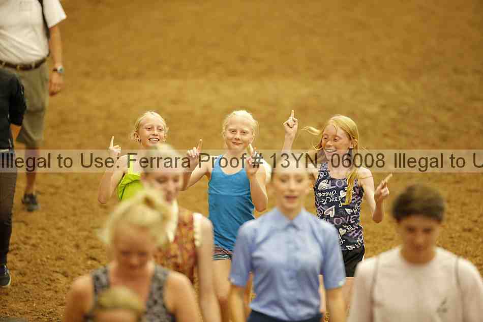 Proof 13yn_06008