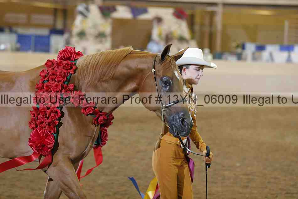 Proof 13yn_06009