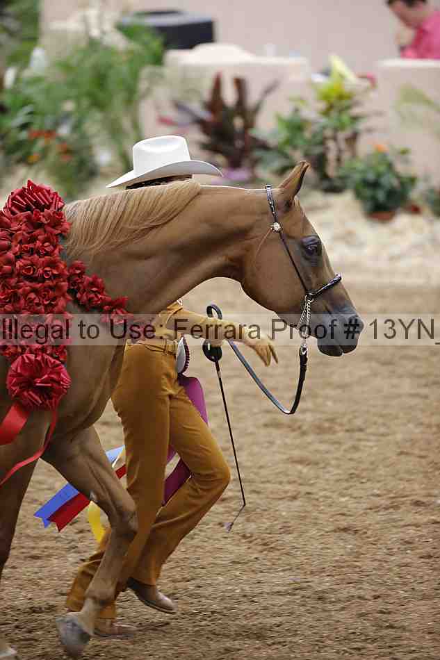 Proof 13yn_06010