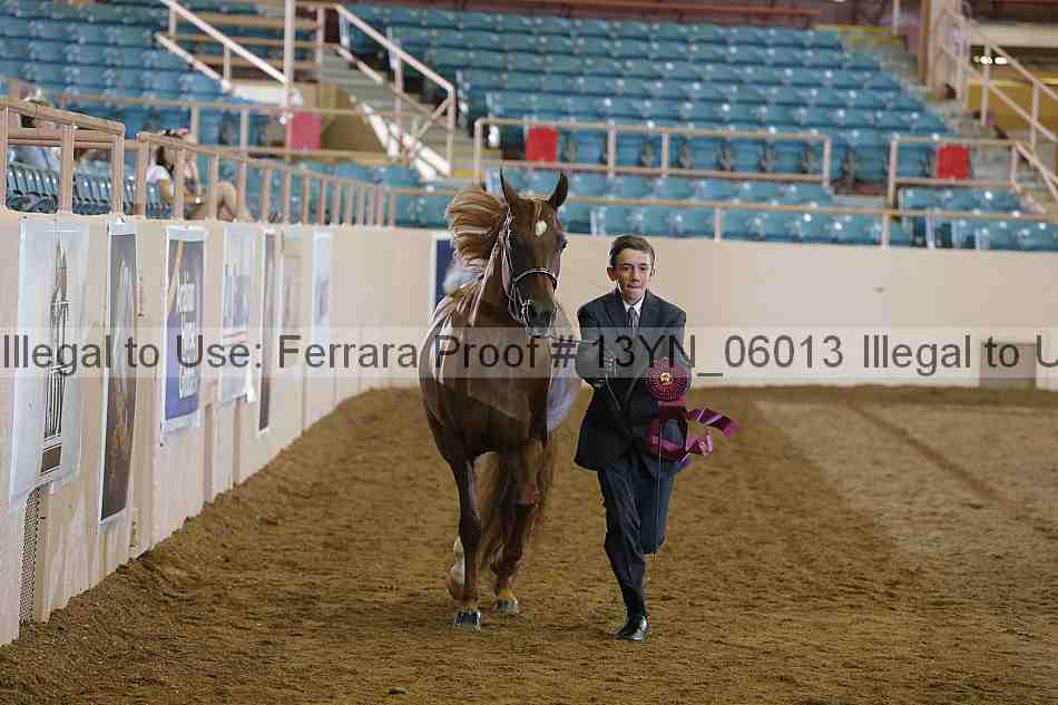 Proof 13yn_06013