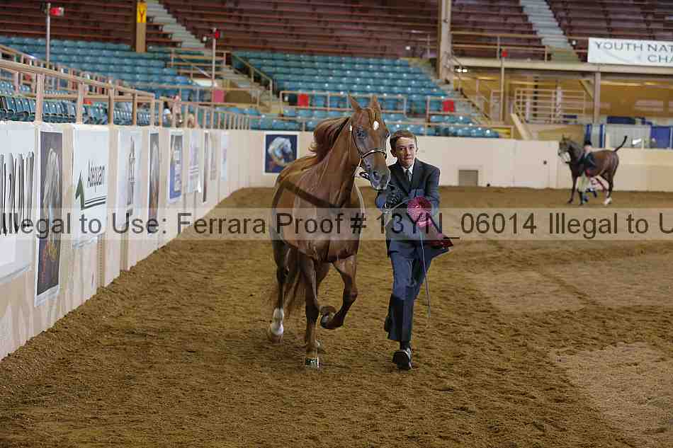 Proof 13yn_06014