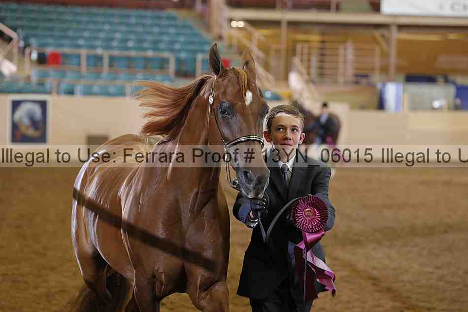 Proof 13yn_06015
