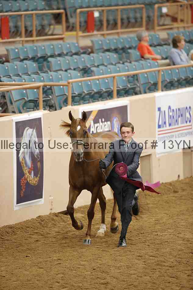 Proof 13yn_06016