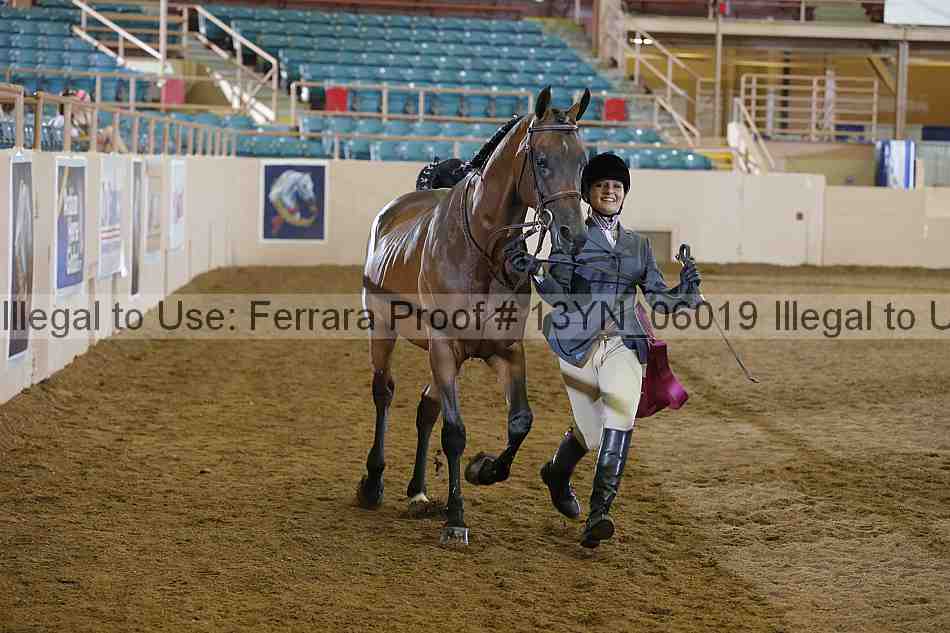 Proof 13yn_06019