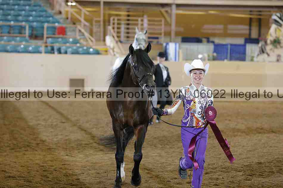 Proof 13yn_06022