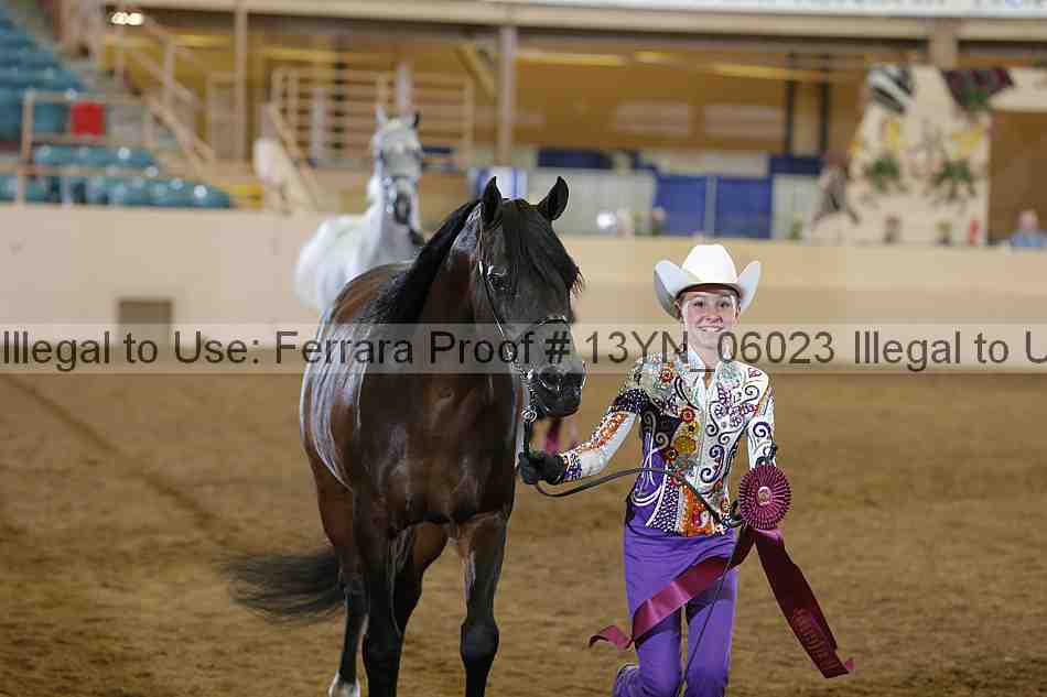 Proof 13yn_06023