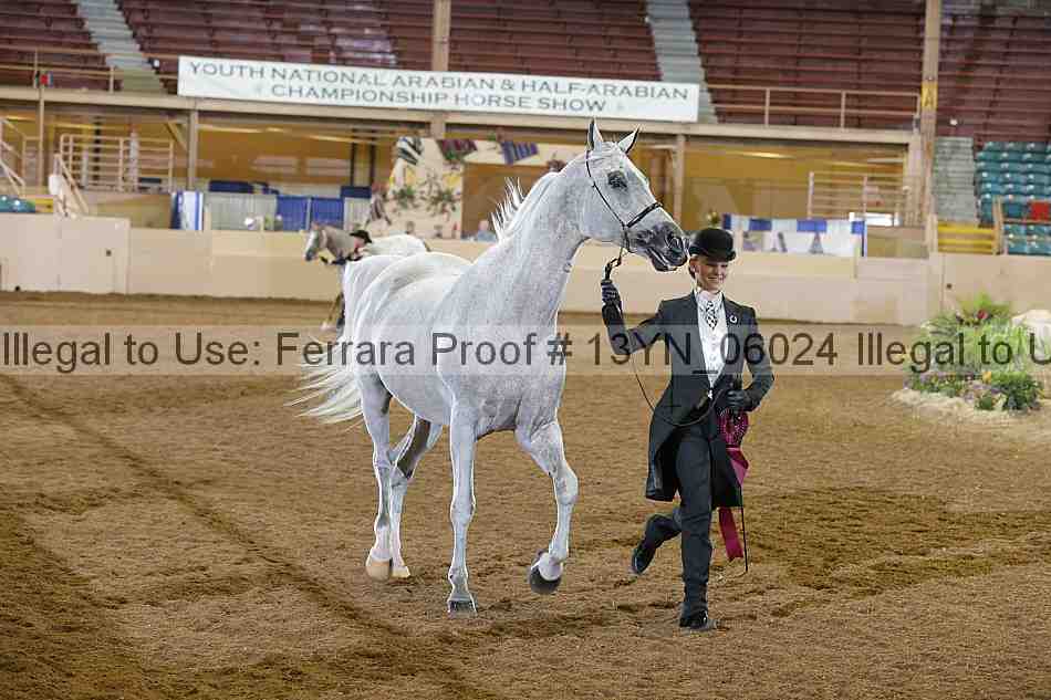 Proof 13yn_06024
