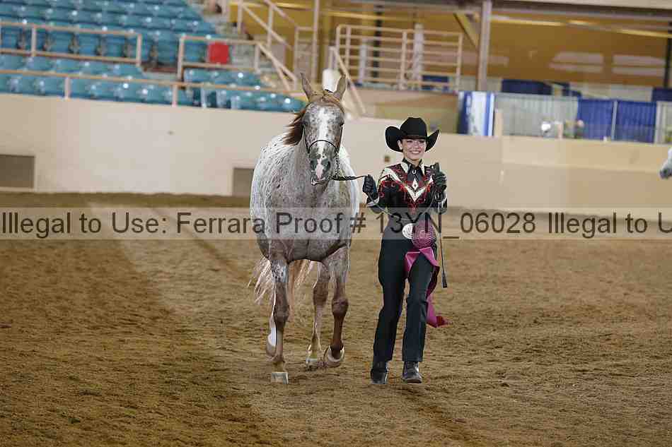Proof 13yn_06028