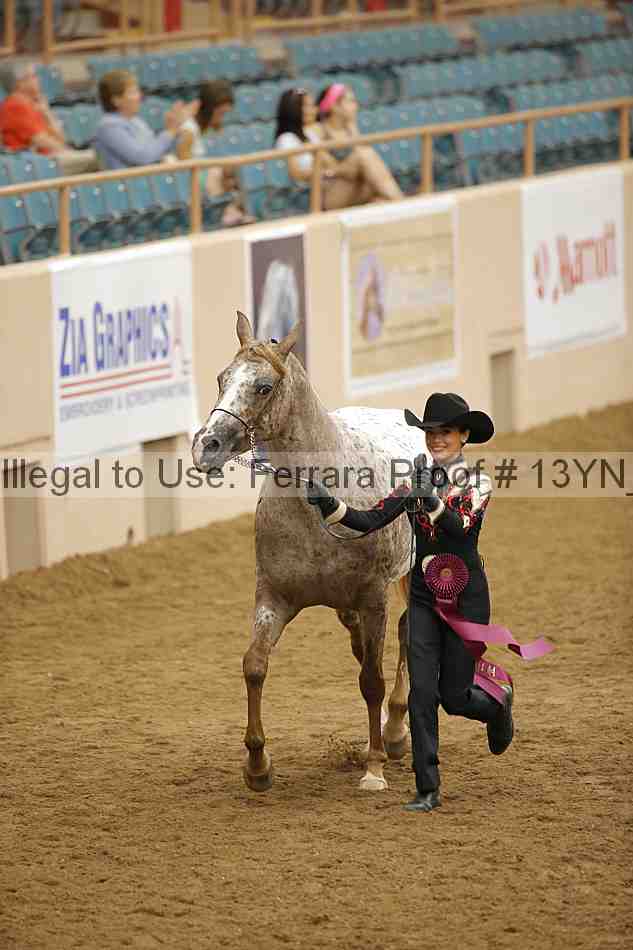 Proof 13yn_06030