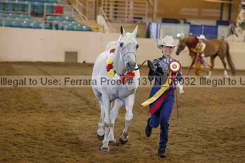 Proof 13yn_06032