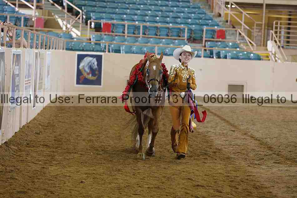 Proof 13yn_06036