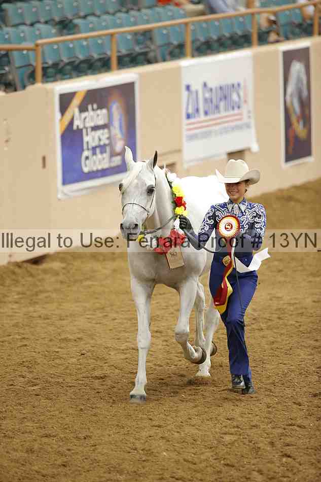 Proof 13yn_06037