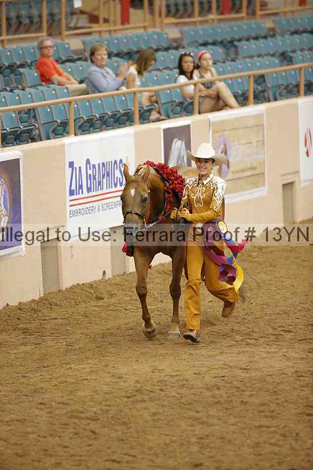 Proof 13yn_06040