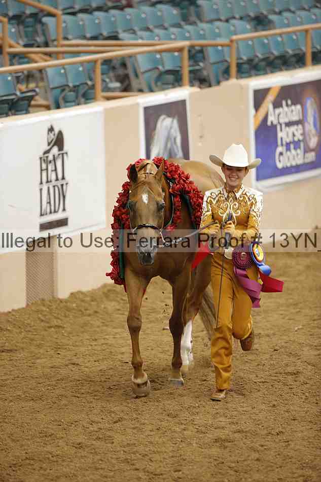 Proof 13yn_06041