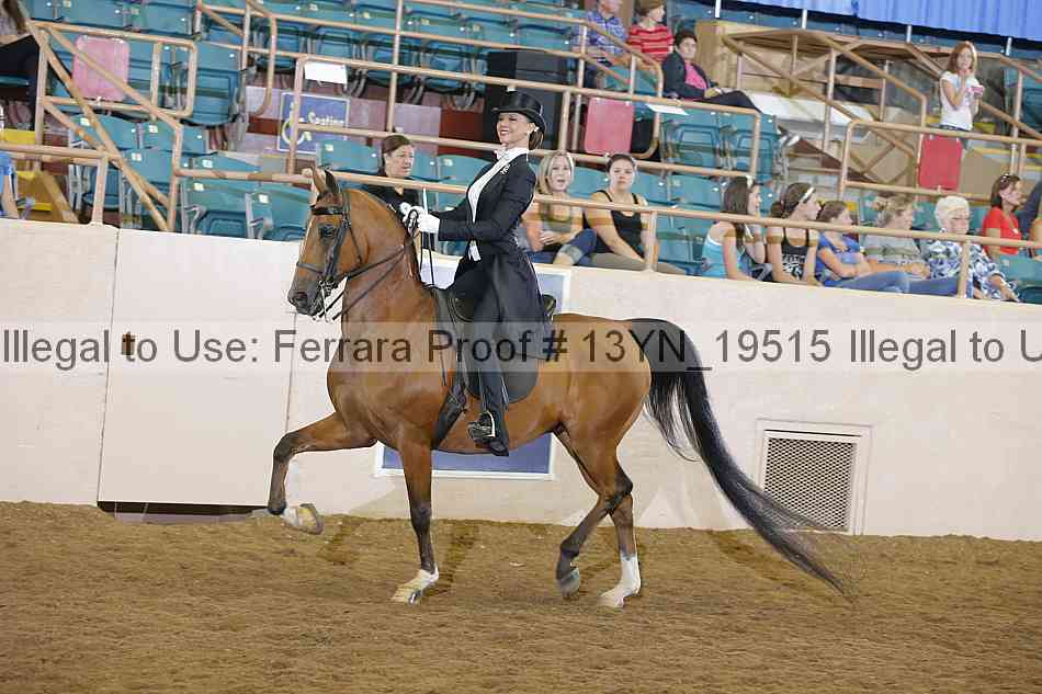 Proof 13yn_19515