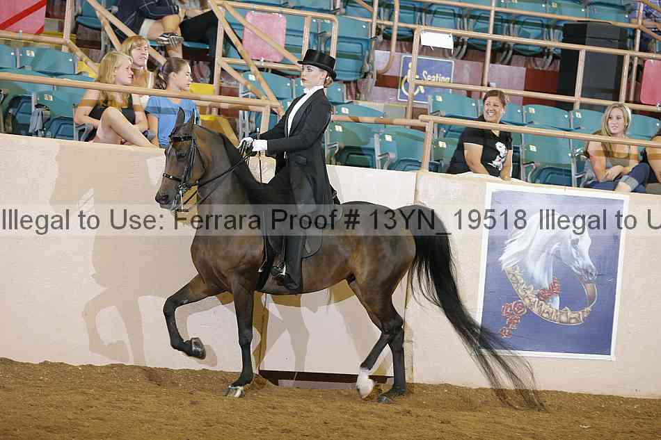 Proof 13yn_19518