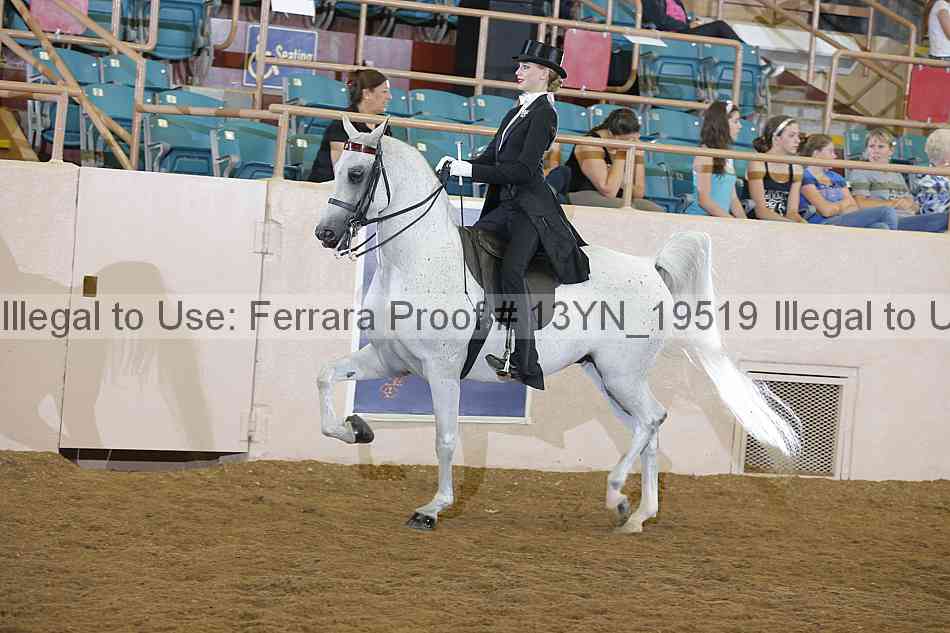 Proof 13yn_19519