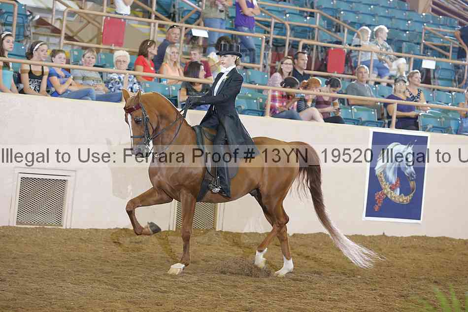 Proof 13yn_19520