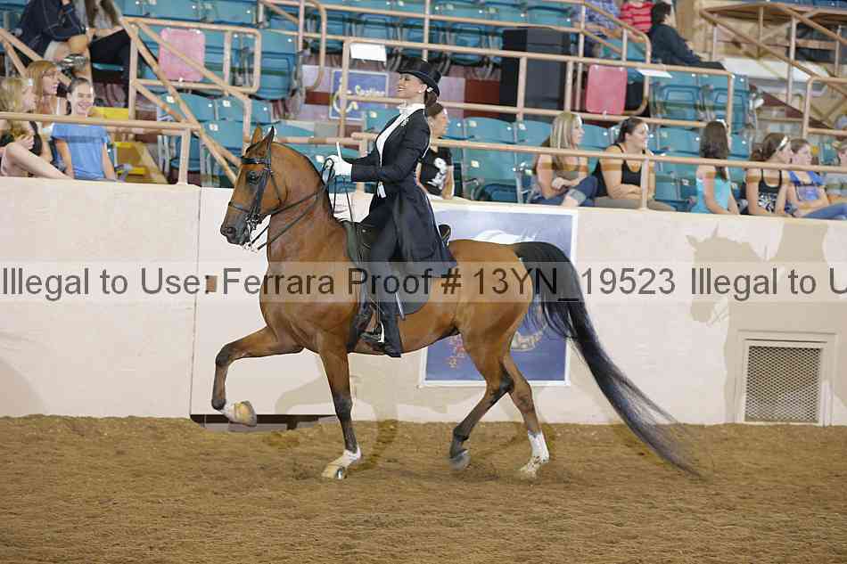 Proof 13yn_19523