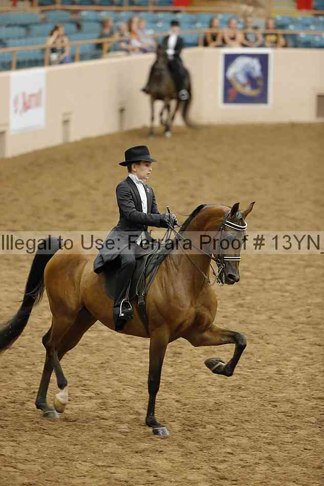 Proof 13yn_19525