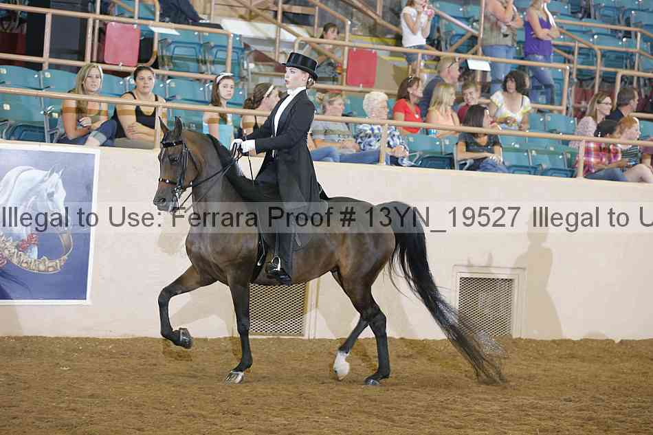 Proof 13yn_19527