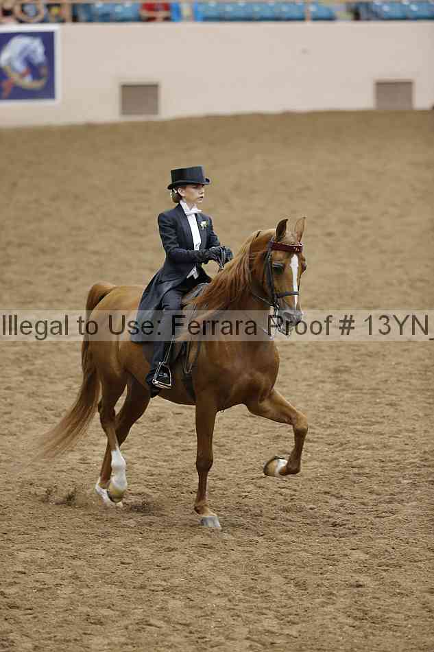 Proof 13yn_19531