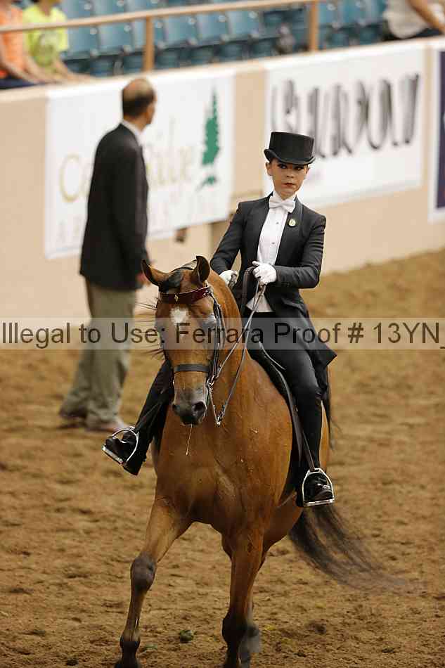Proof 13yn_19533