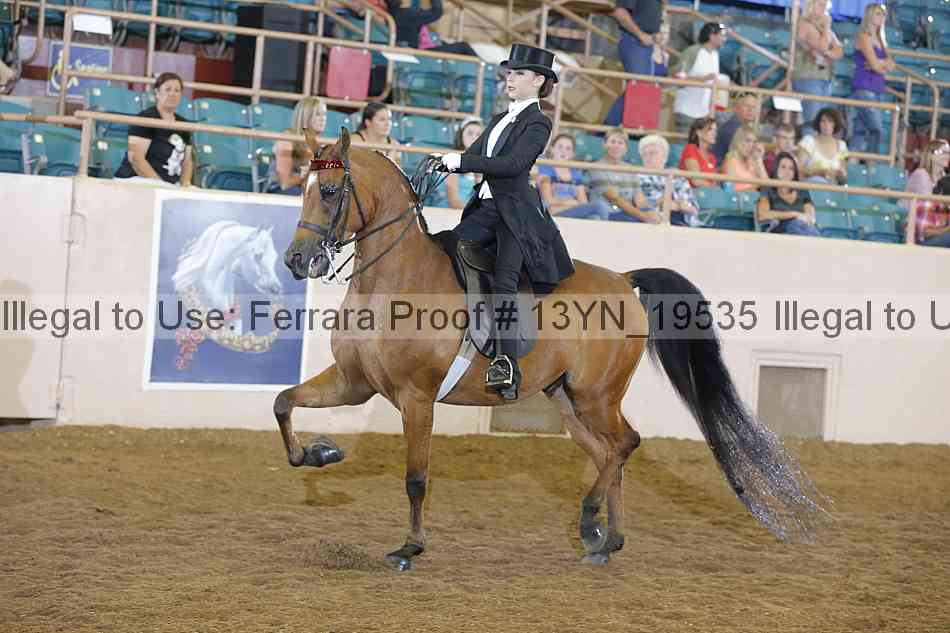 Proof 13yn_19535