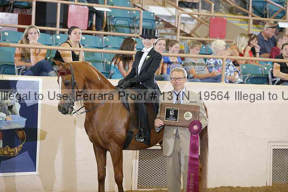 Proof 13yn_19564