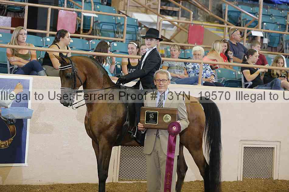 Proof 13yn_19570