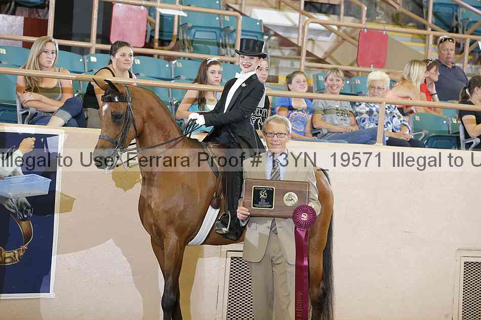 Proof 13yn_19571