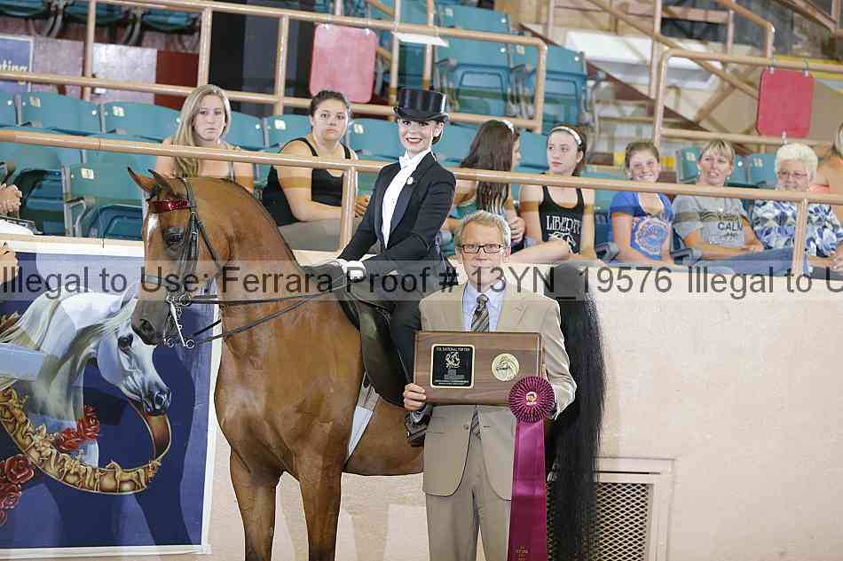 Proof 13yn_19576