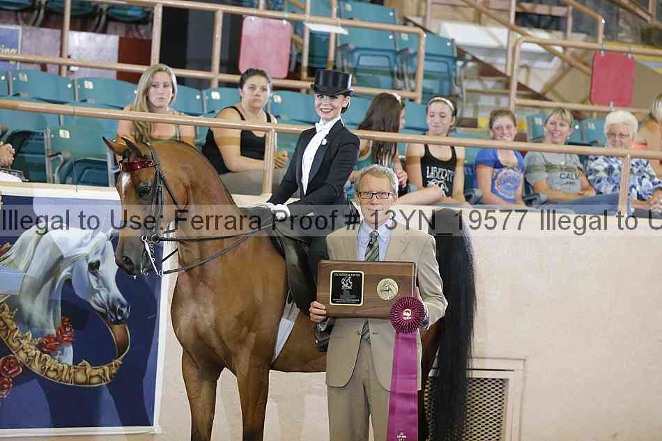 Proof 13yn_19577