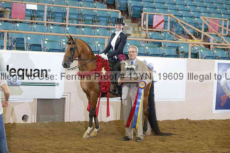 Proof 13yn_19609