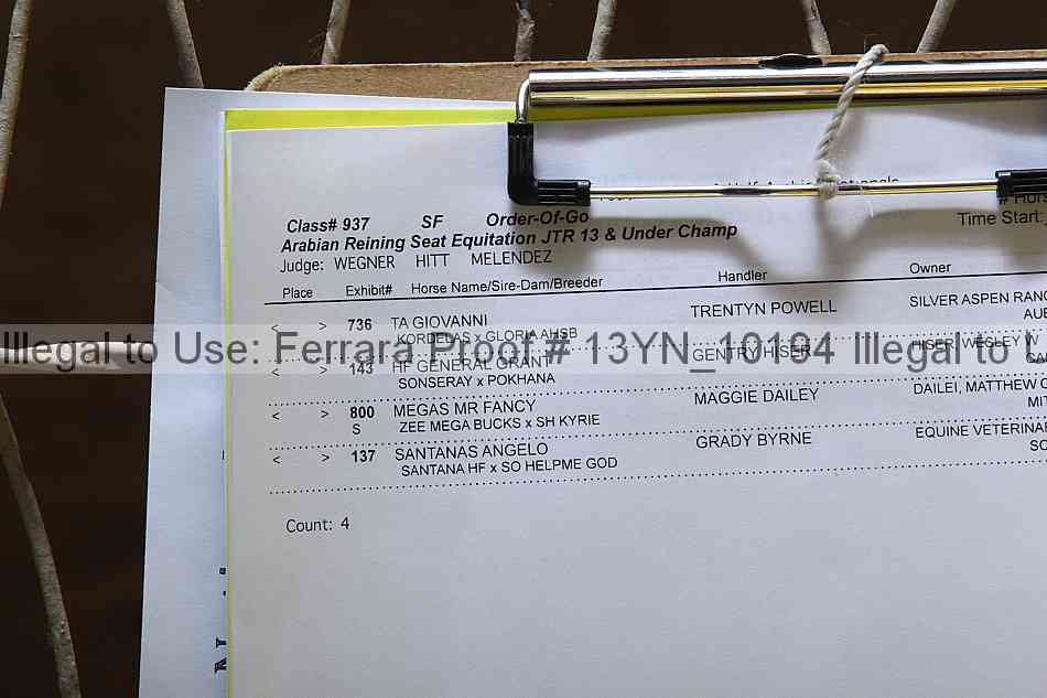Proof 13yn_10194
