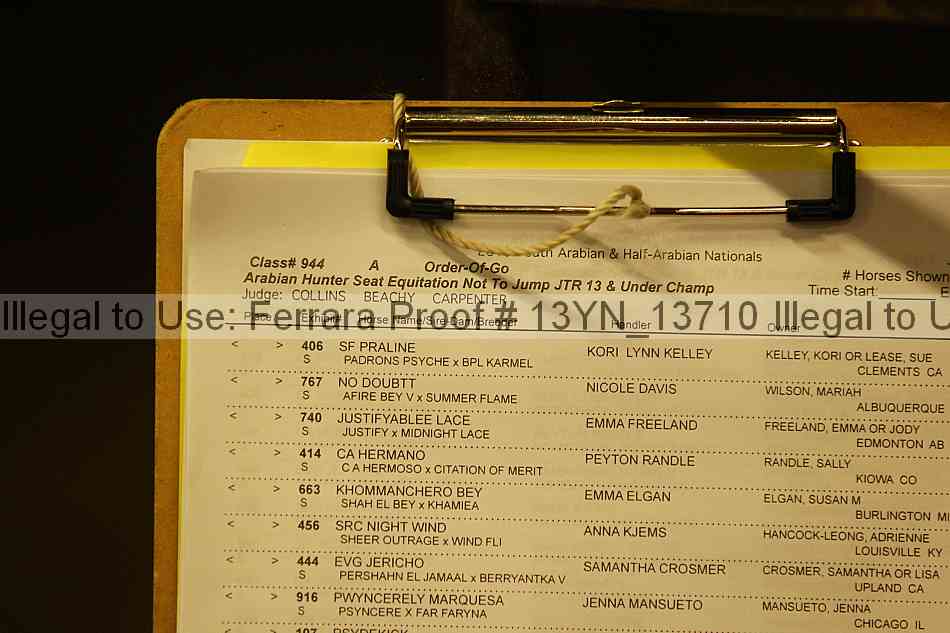 Proof 13yn_13710