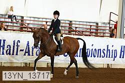 13yn_13717 proof