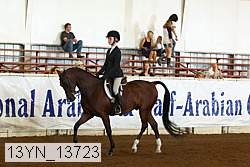 13yn_13723 proof