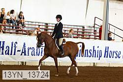 13yn_13724 proof