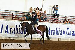 13yn_13790 proof