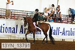 13yn_13791 proof