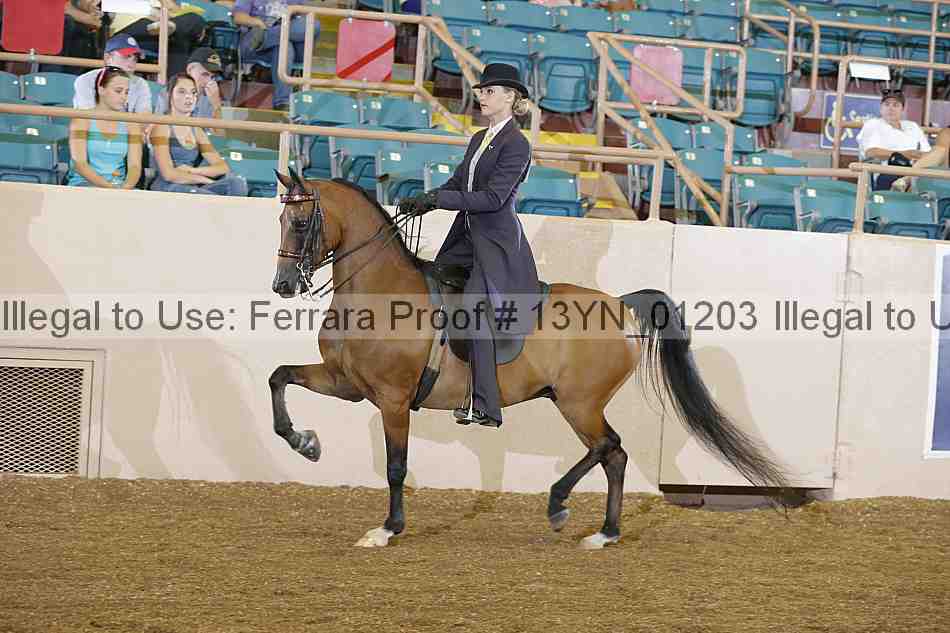 Proof 13yn_01203