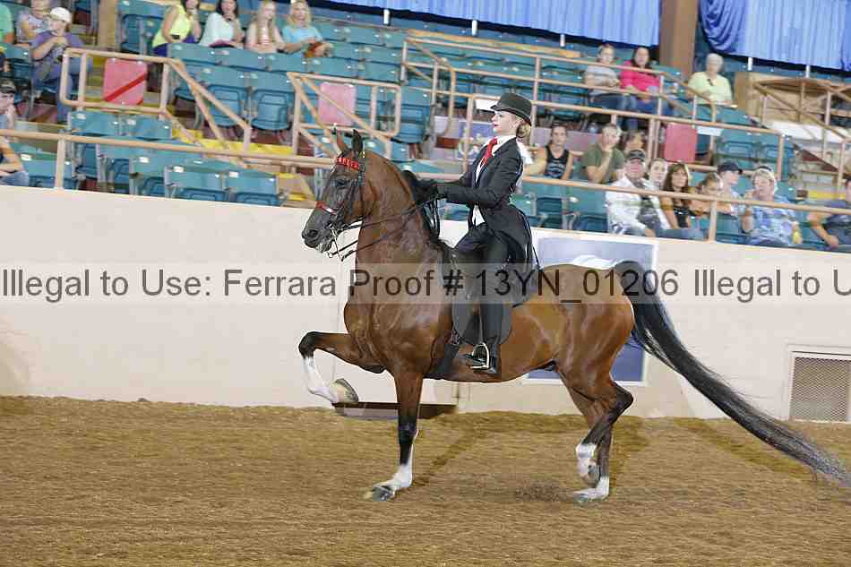 Proof 13yn_01206