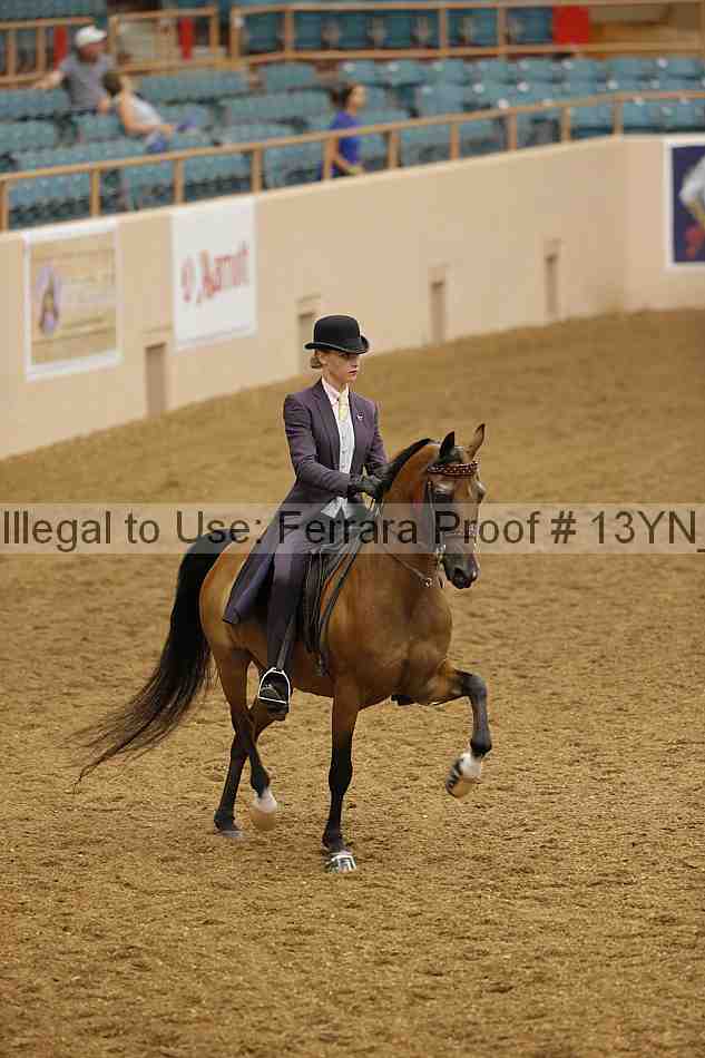Proof 13yn_01207