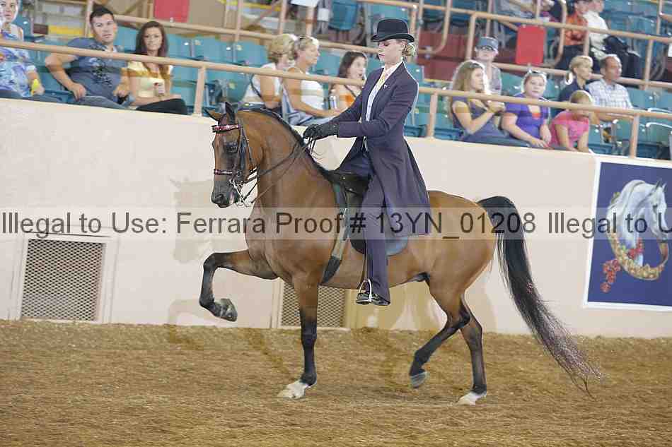 Proof 13yn_01208
