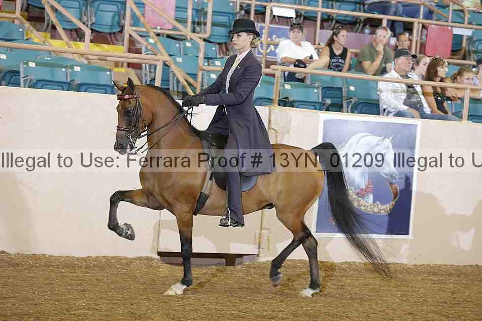 Proof 13yn_01209