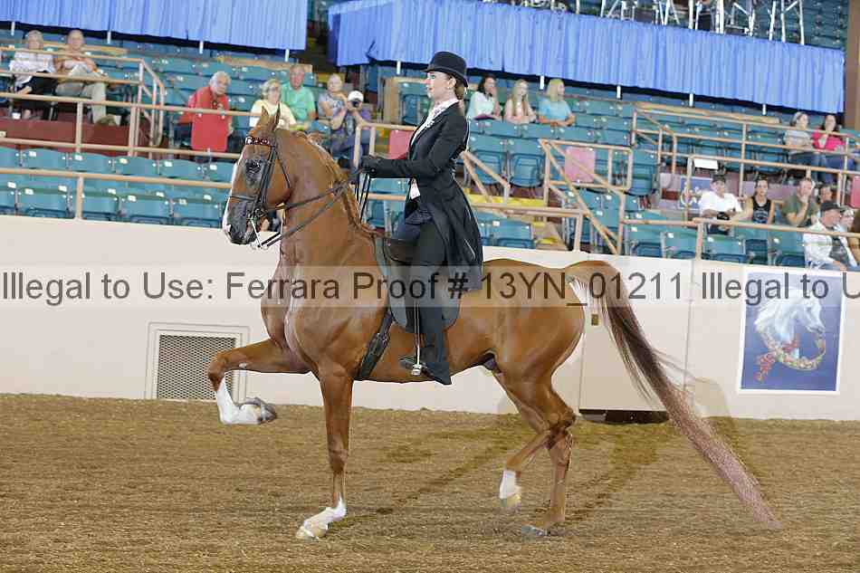 Proof 13yn_01211