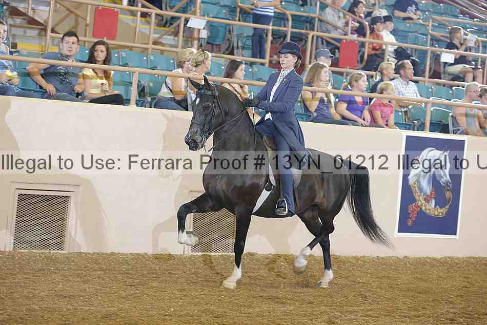 Proof 13yn_01212