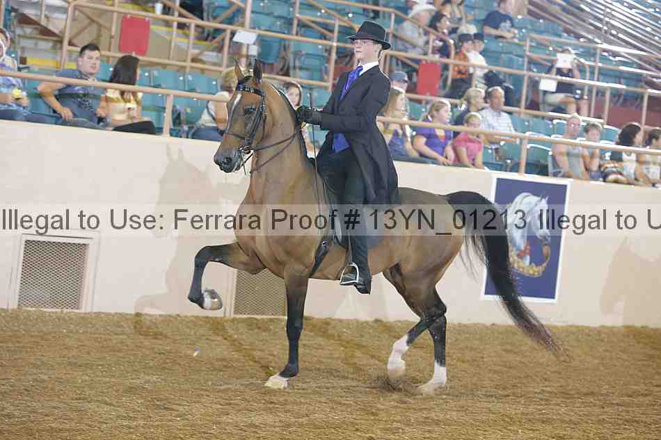 Proof 13yn_01213
